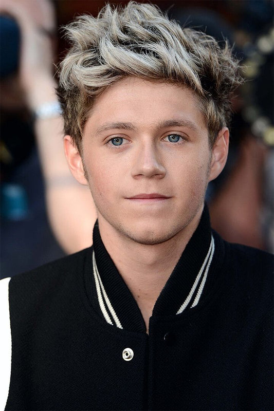 Niall Horan Celebrity Singer Music Album Jigsaw Puzzle