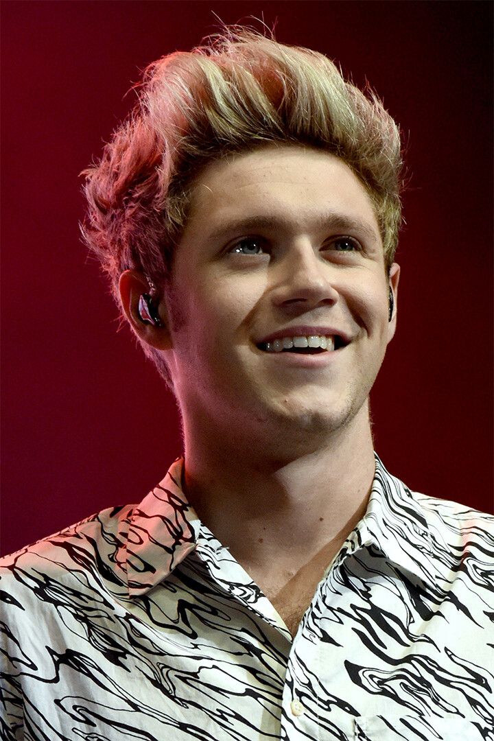 Niall Horan Celebrity Singer Pop Music Album Jigsaw Puzzle