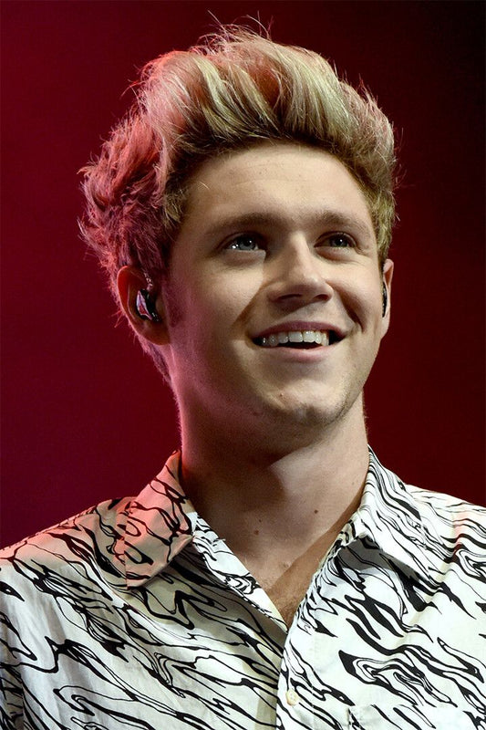 Niall Horan Celebrity Singer Pop Music Album Jigsaw Puzzle