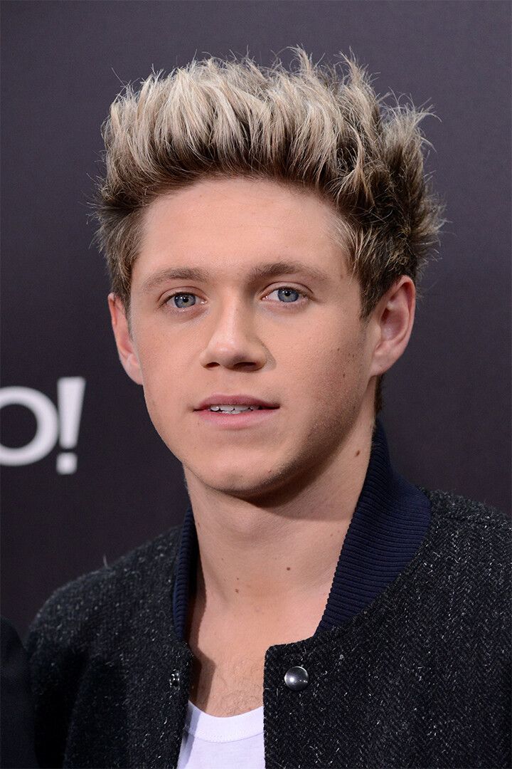Niall Horan Celebrity Singer Song Album Jigsaw Puzzle