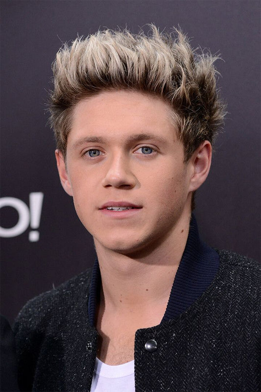 Niall Horan Celebrity Singer Song Album Jigsaw Puzzle