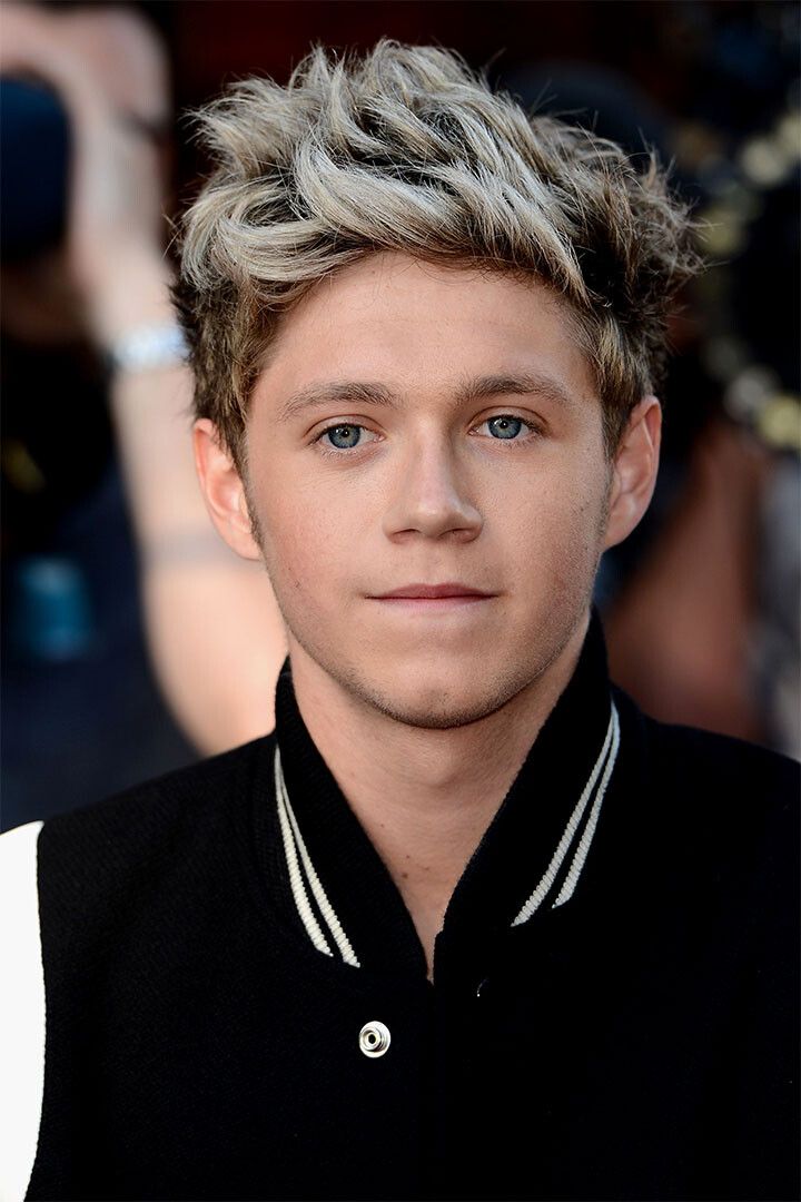 Niall Horan Rock Music Singer Star Songwriter Jigsaw Puzzle