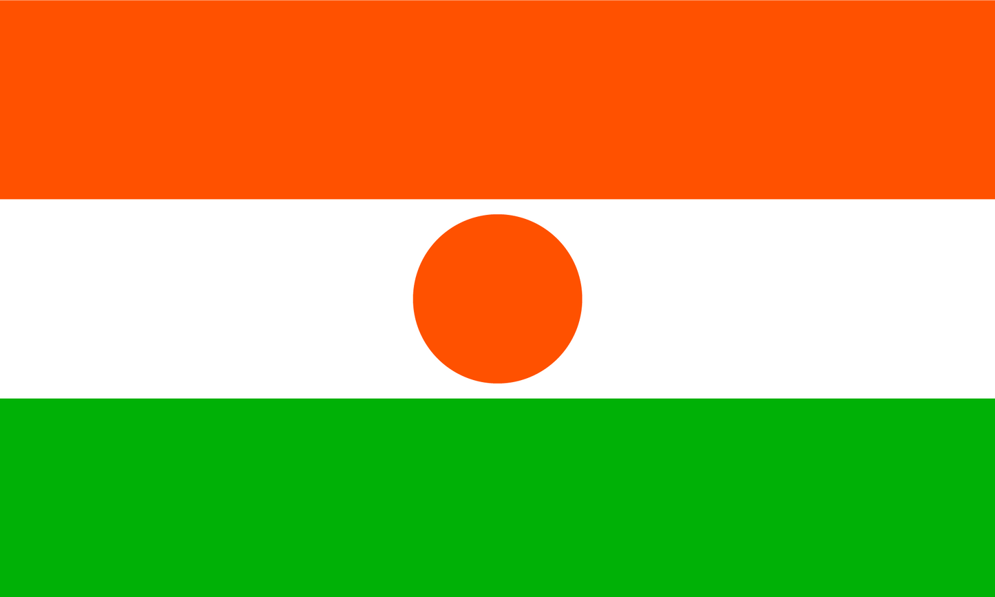 Niger Flag Print Poster
