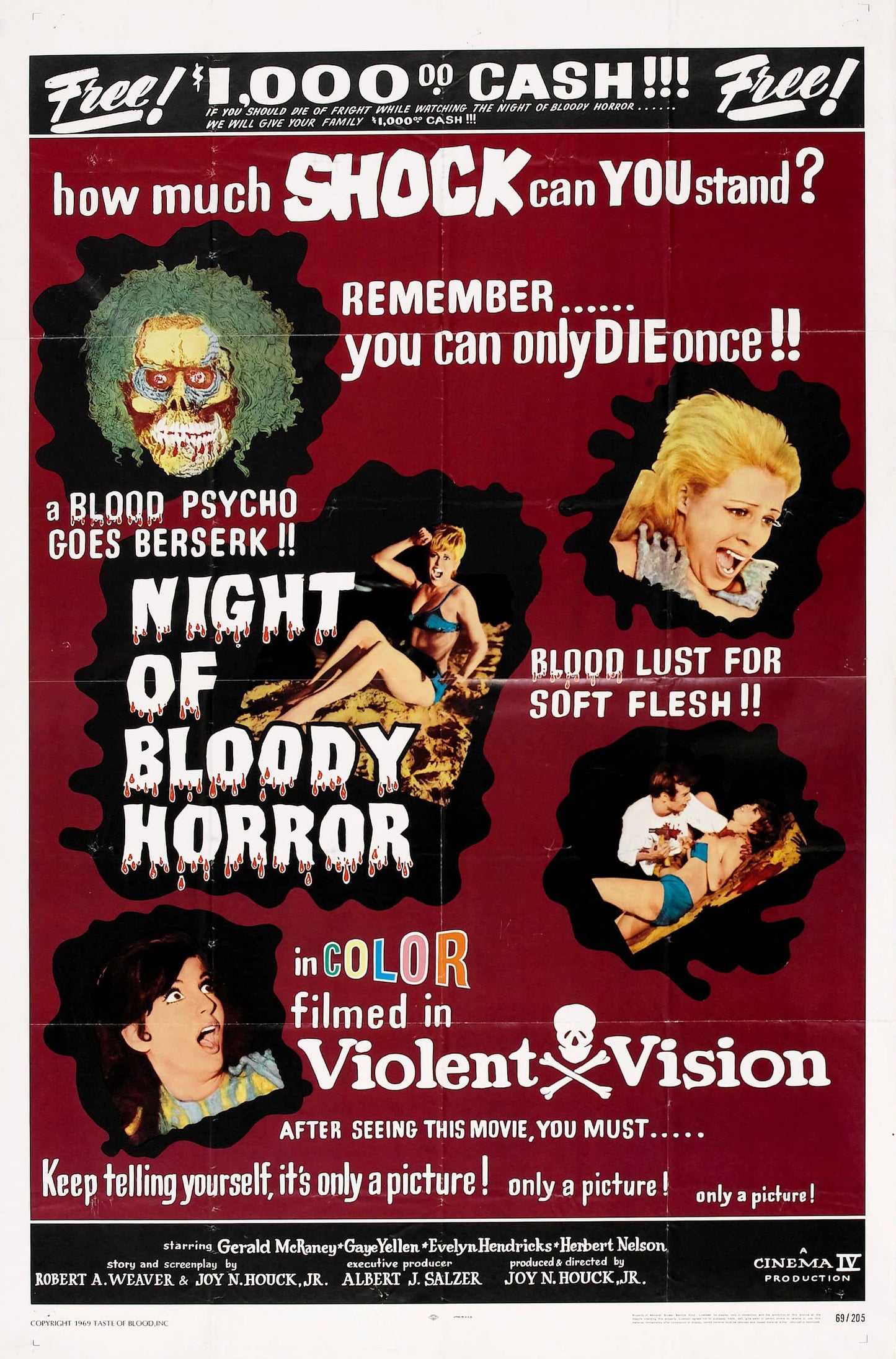 Night Of Bloody Horror 02 Movie Magnet