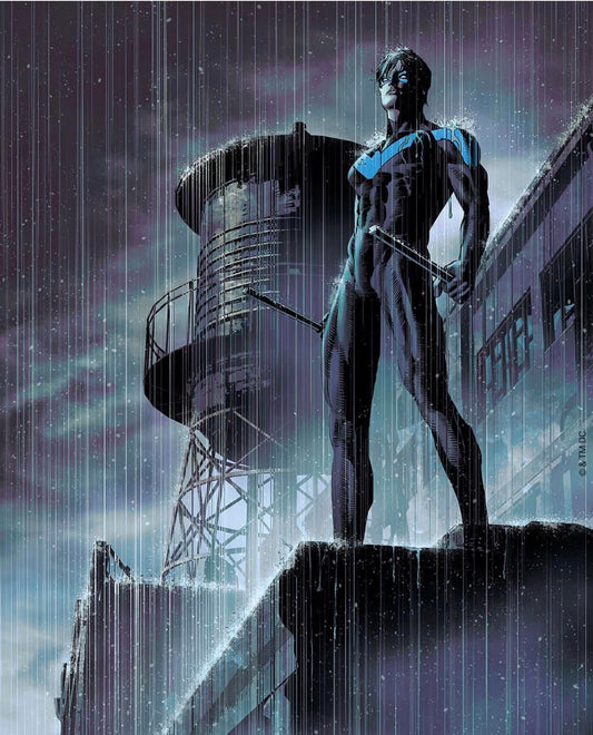 Nightwing Urban Hero Rainscape Print Poster