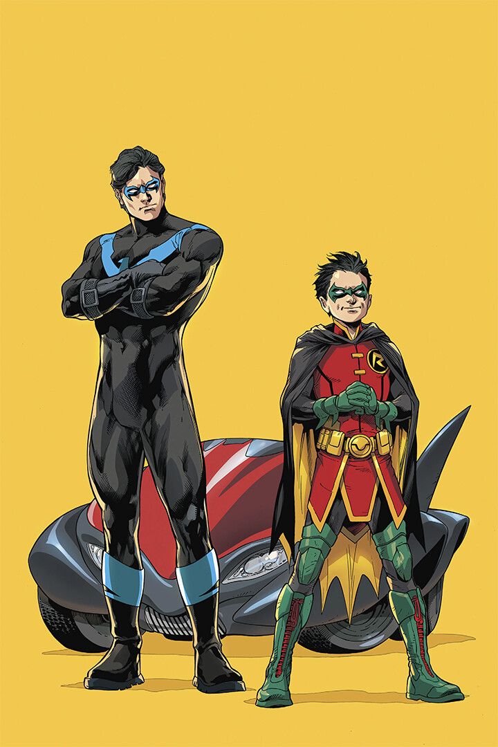 Nightwing And Robin Rebirth Decor Wall Art Jigsaw Puzzle