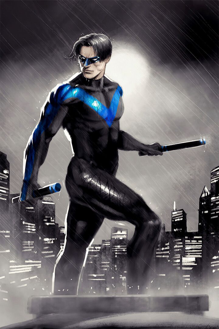 Nightwing In The Rain City Buildings Art Print Decor Jigsaw Puzzle
