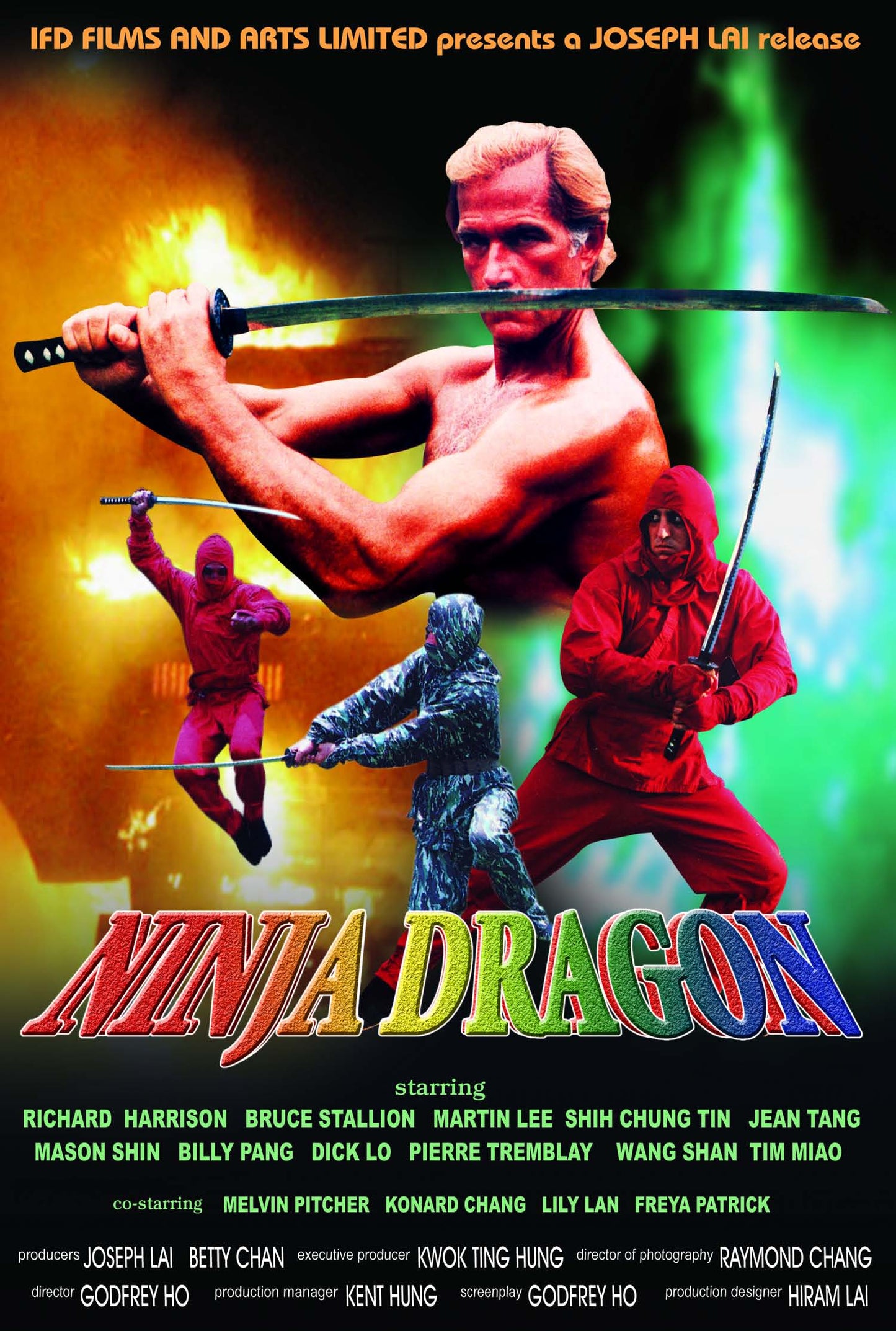 Ninja Dragon 01 Movie Magnet