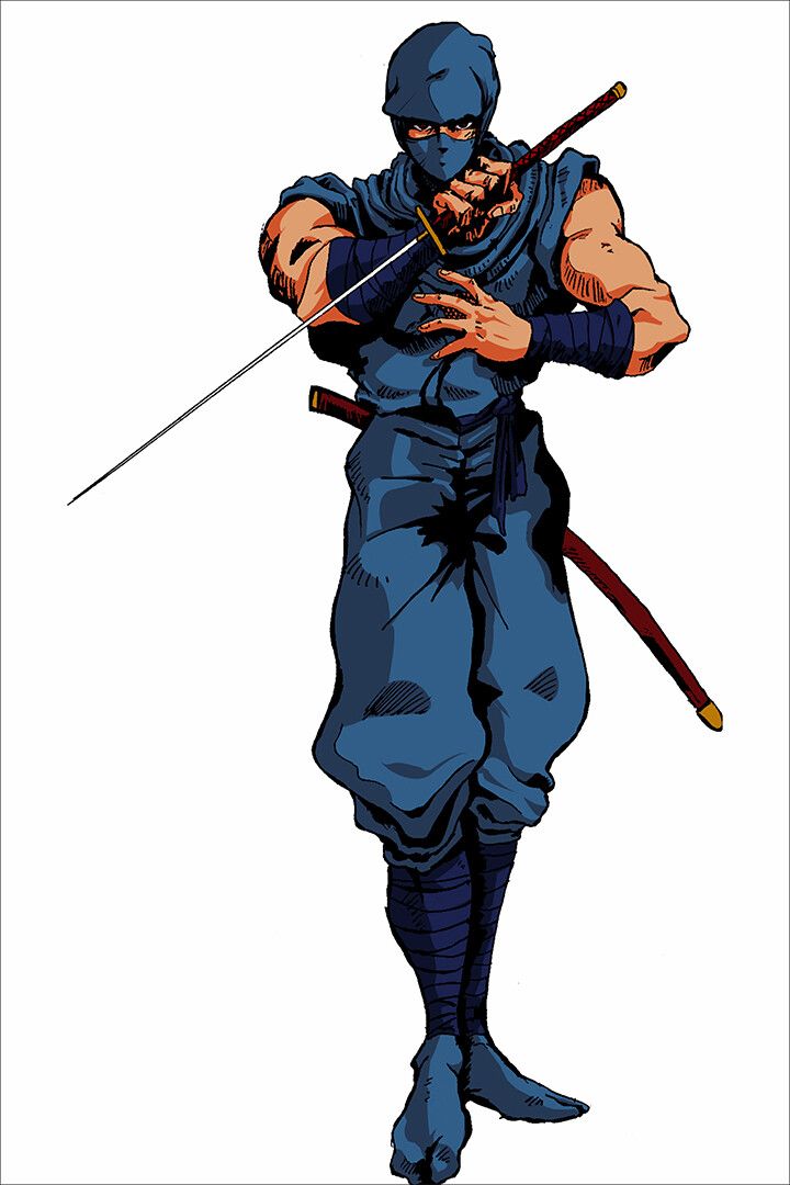 Ninja Gaiden Action Video Game Series Decor Wall Art Jigsaw Puzzle