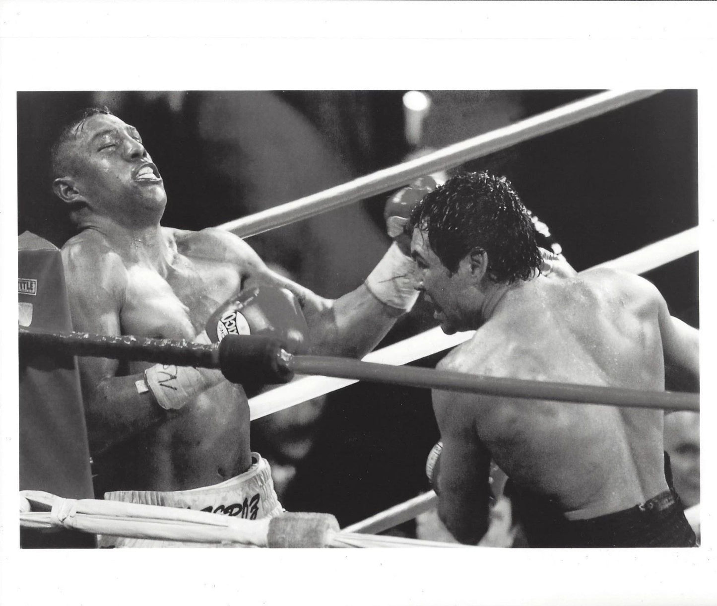 Oscar De La Hoya Vs Fernando Vargas Photo Boxing Picture Bw