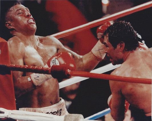 Oscar De La Hoya Vs Fernando Vargas Photo Boxing Picture Color
