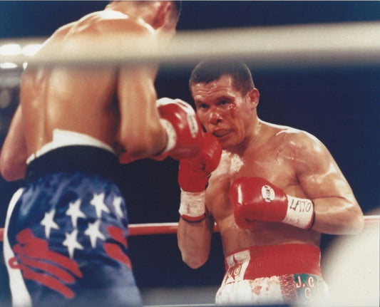 Oscar De La Hoya Vs Julio Cesar Chavez Magnet Boxing Picture
