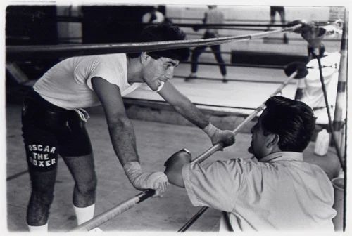 Oscar The Boxer Muniz Photo Boxing Picture