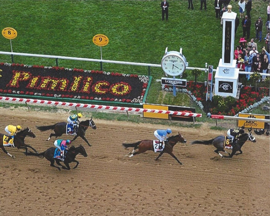 Oxbow Photo Horse Racing Picture Jockey Gary Stevens Preakness Stakes