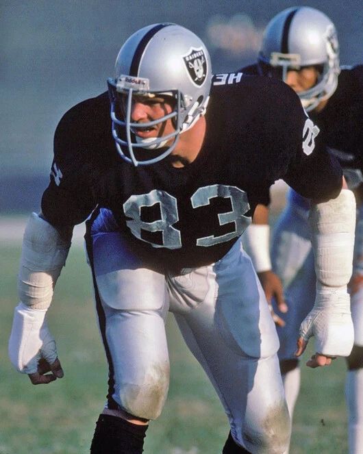 Oakland Raiders Ted Hendricks Glossy Magnet Football Magnet Hof 90