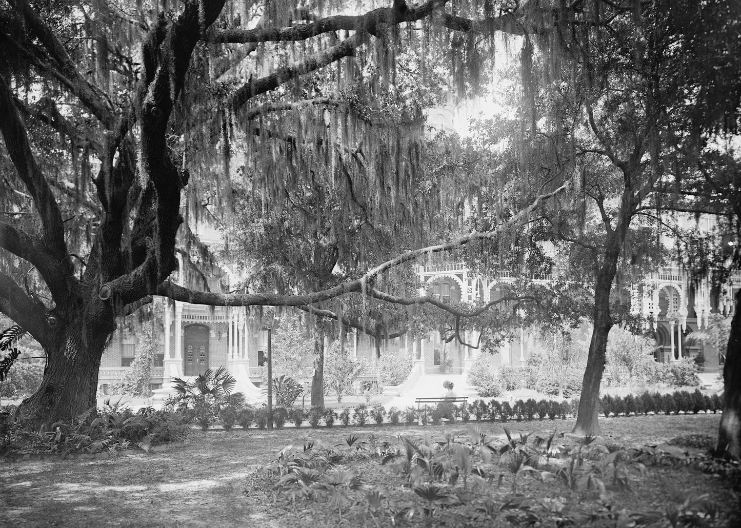 Old Oak Trees Tampa Bay Hotel Florida Retro Vintage Old Photo Reprint