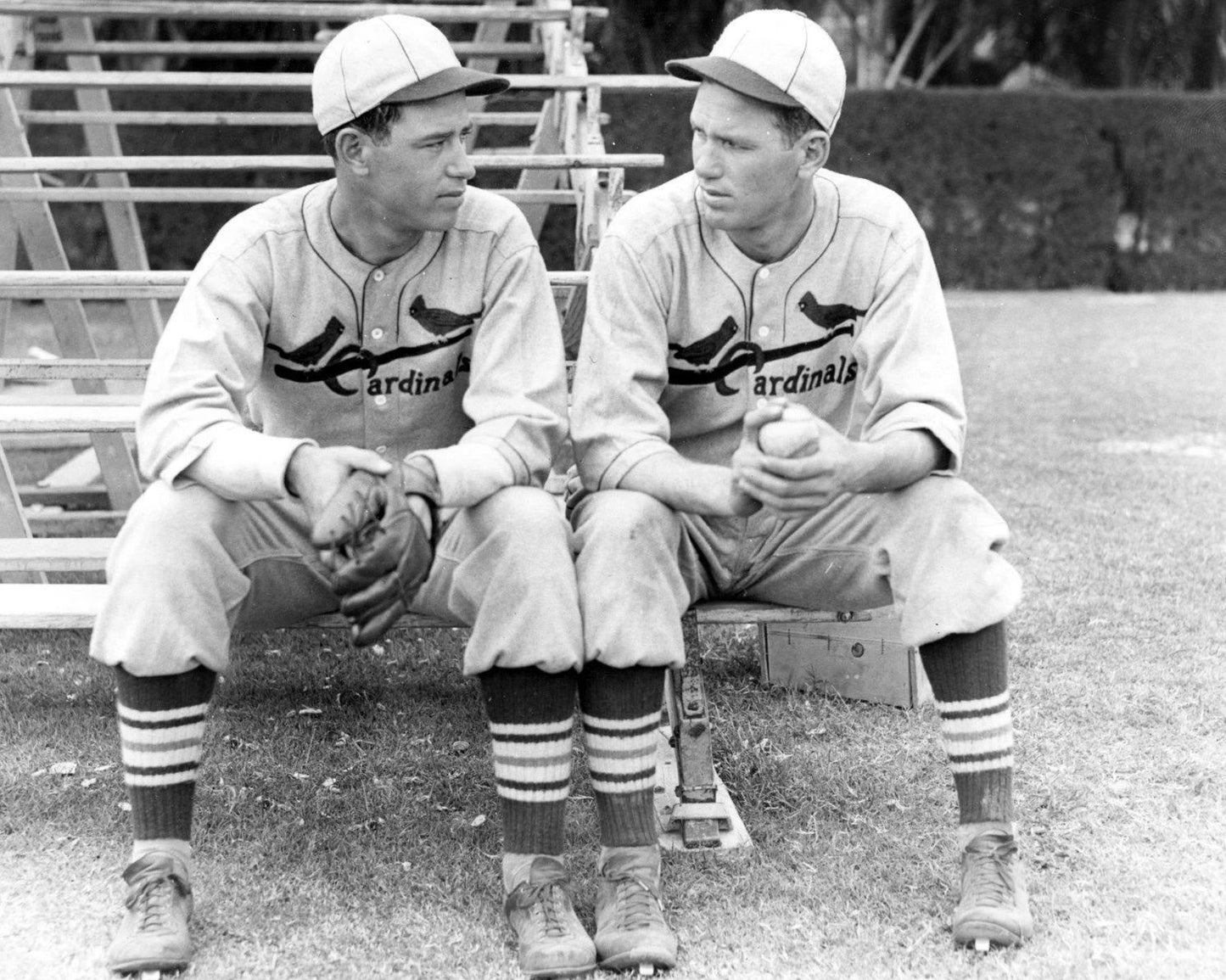 Paul & Dizzy Dean Photo St Louis Cardinals Baseball Picture Mlb