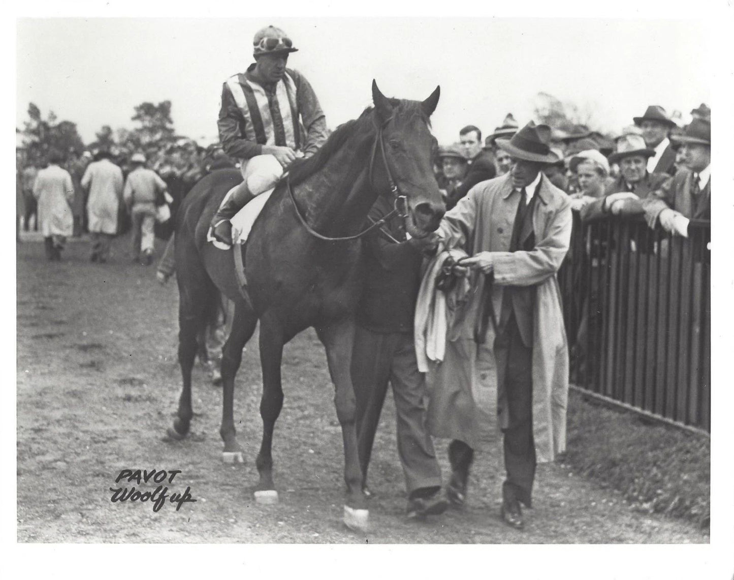 Pavot Photo Horse Racing Picture Jockey George Woolf