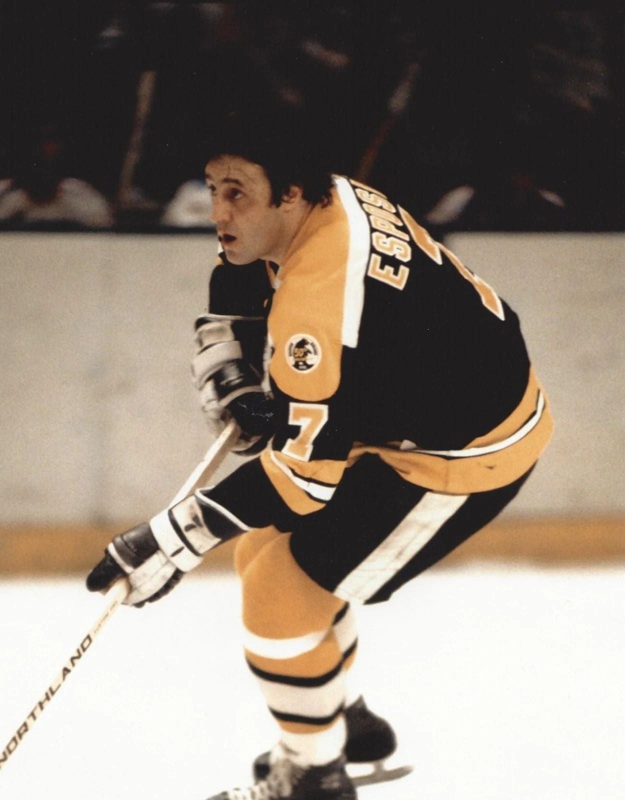 Phil Esposito Photo Hockey Boston Bruins Nhl Picture 300 Piece Jigsaw Puzzle