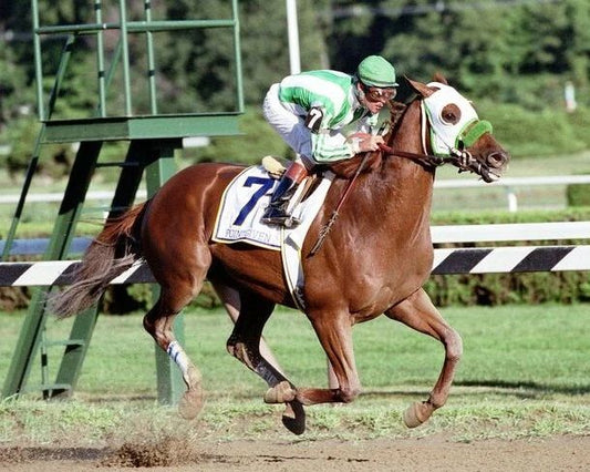 Point Given Keychain Horse Racing Picture