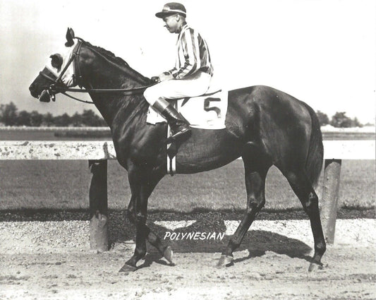 Polynesian Photo Horse Racing Picture Jockey
