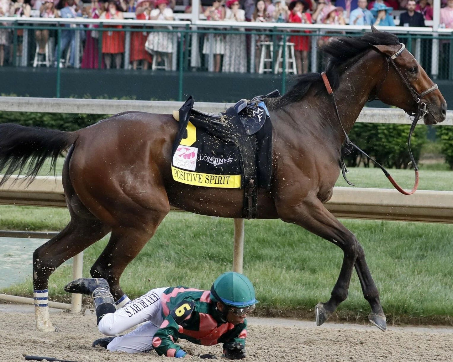 Positive Spirit Photo Horse Racing Picture Jockey