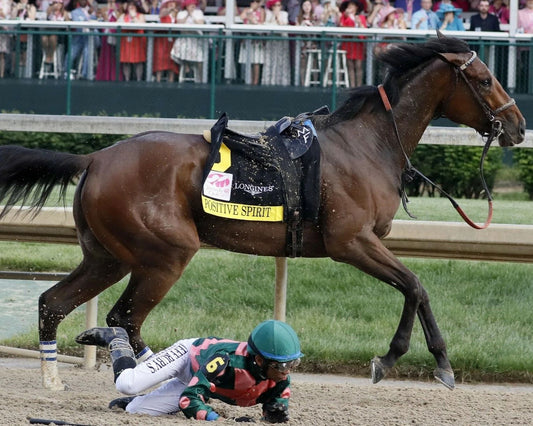 Positive Spirit Keychain Horse Racing Picture Jockey