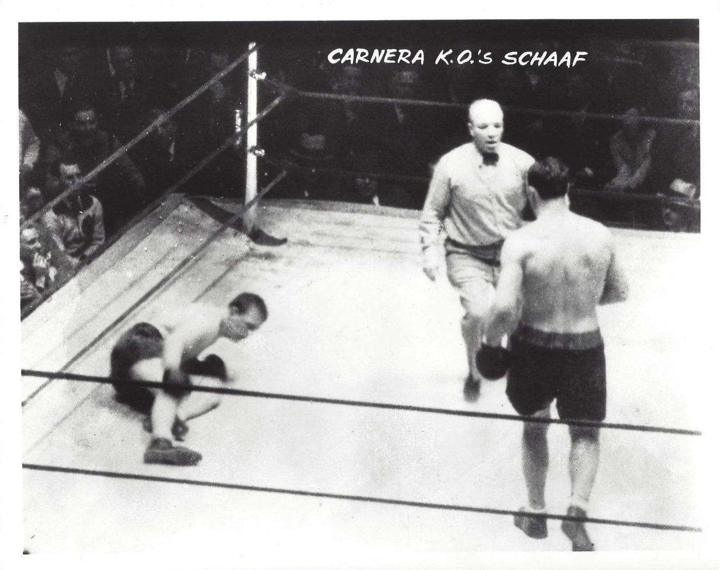 Primo Carnera Vs Ernie Schaaf Photo Boxing Picture