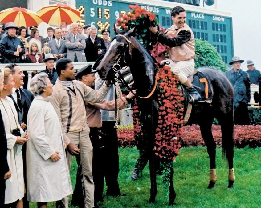 Proud Clarion Photo Horse Racing Picture Victory 300 Piece Jigsaw Puzzle