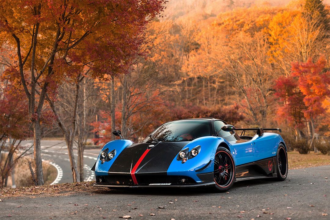 Pagani Zonda Cinque Roadster Racing Car Auto Jigsaw Puzzle