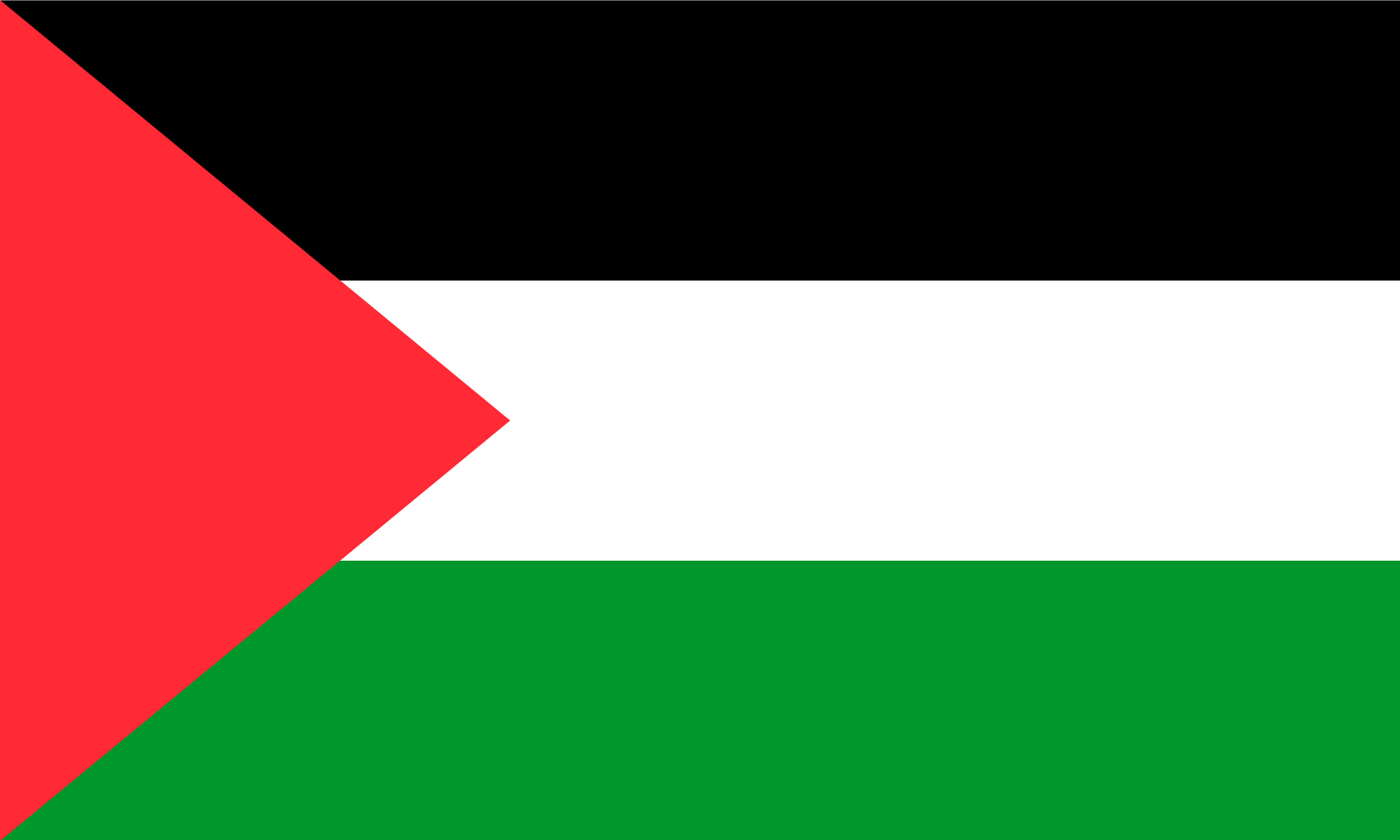 Palestine Flag Print Poster