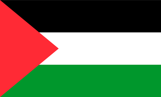 Palestine Flag Print Poster