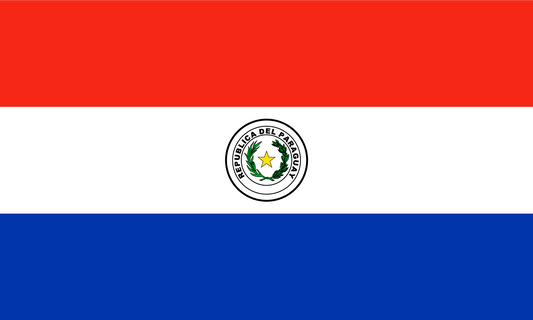 Paraguay Flag Print Poster
