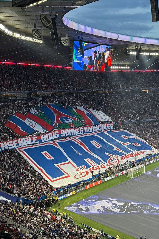 Paris Soccer Champions Of European Final Match Choreography Jigsaw Puzzle