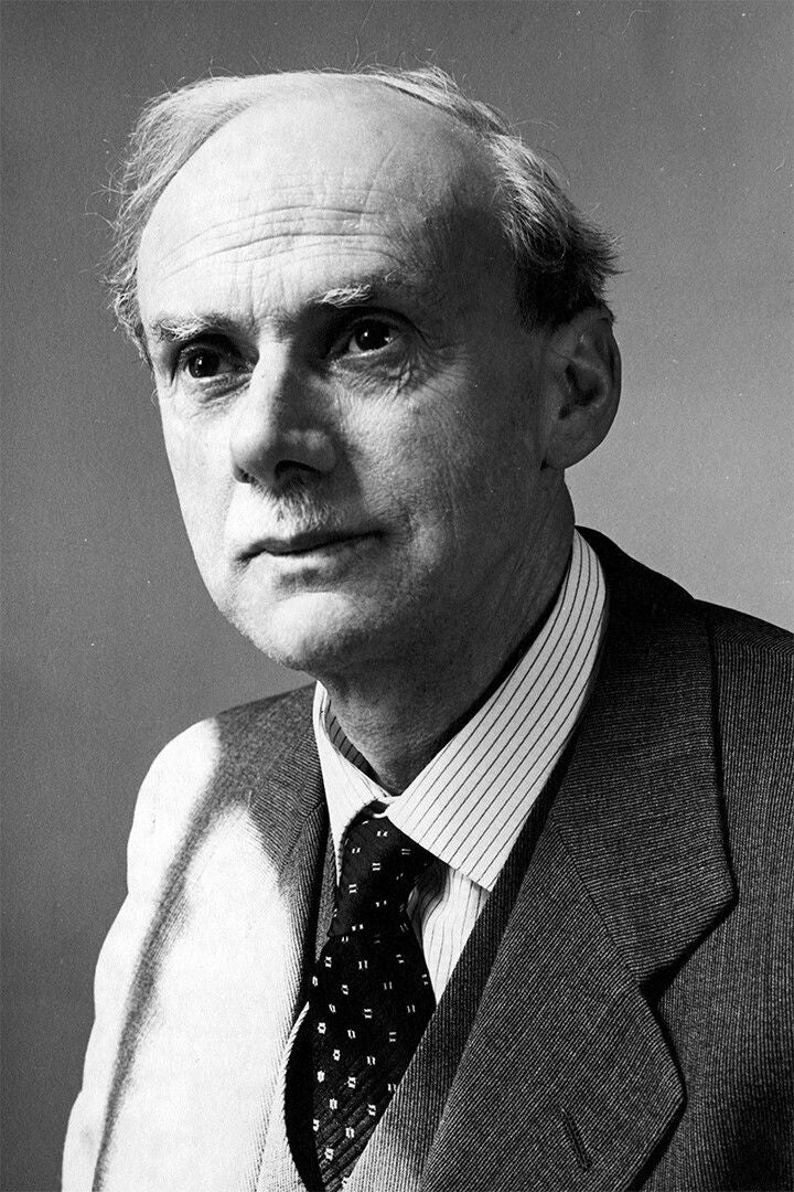 Paul Dirac British Mathematician Print Jigsaw Puzzle