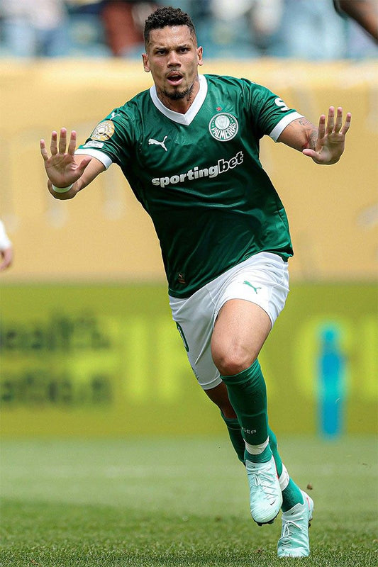 Paulinho Palmeiras Soccer International Club Championship Match Jigsaw Puzzle