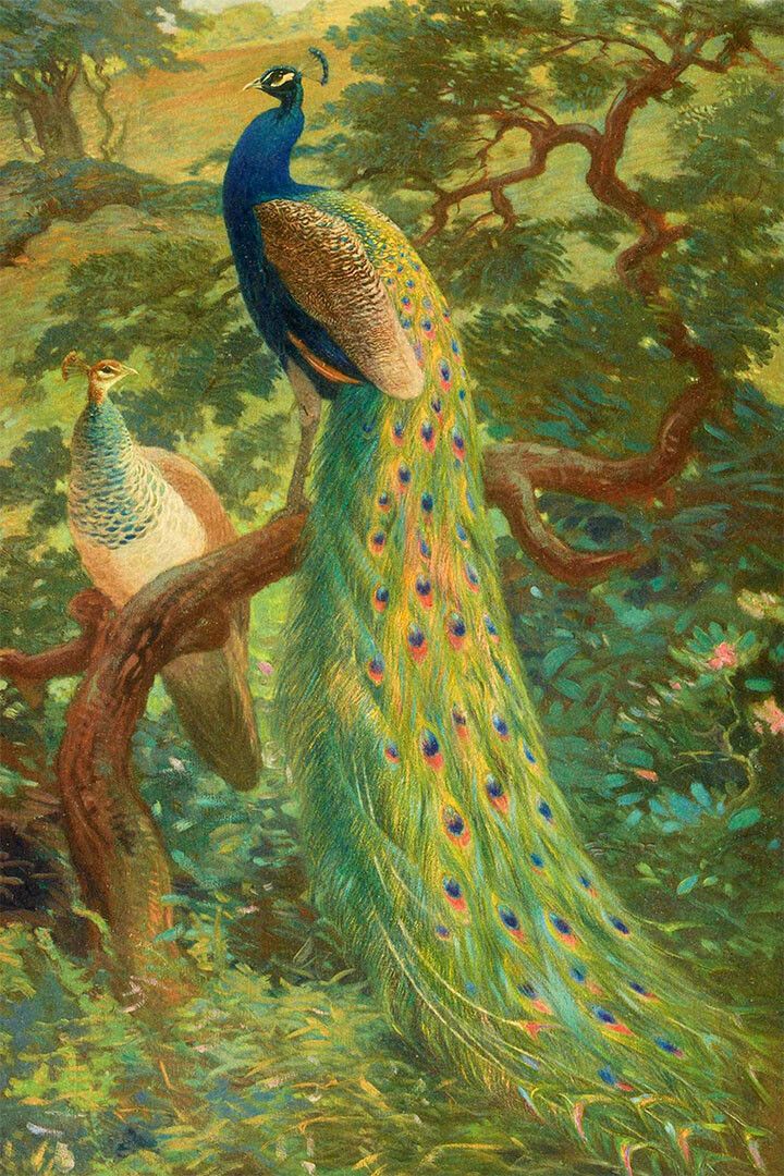 Peacocks Colorful Feathered Bird Painting Print Wall Home Decor Jigsaw Puzzle