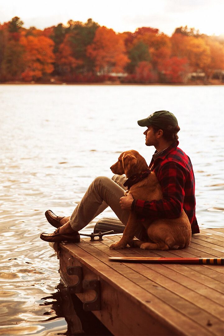 Person Watching The Landscape And Dog Painting Jigsaw Puzzle
