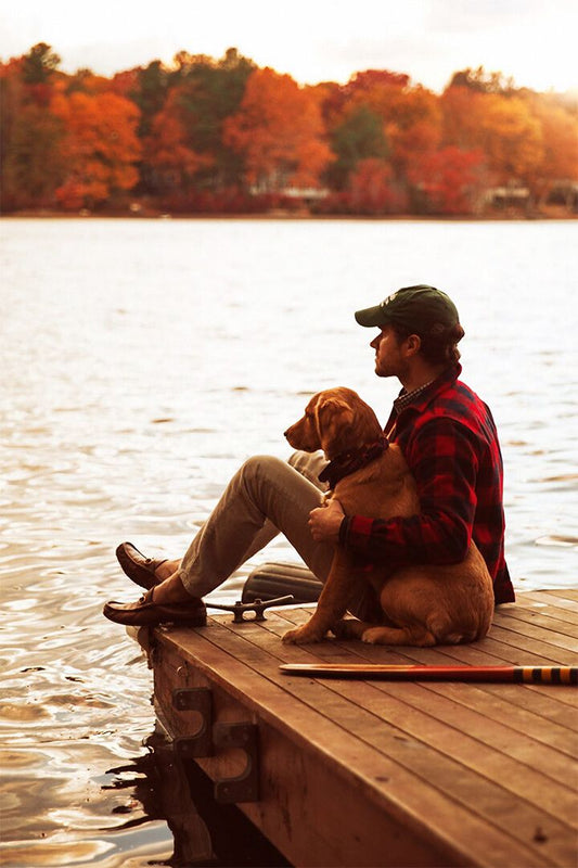 Person Watching The Landscape And Dog Painting Jigsaw Puzzle