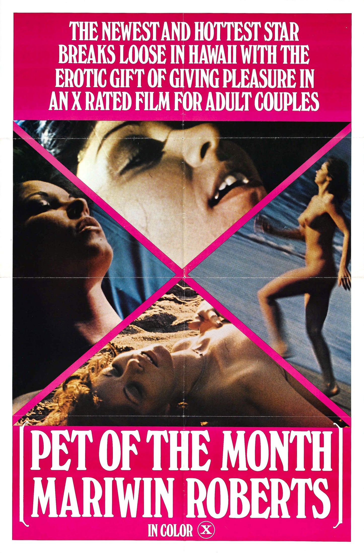 Pet Of The Month 01 Movie Magnet