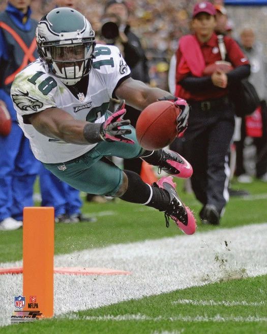 Philadelphia Eagles Jeremy Maclin Glossy Photo Diving Print Football Poster