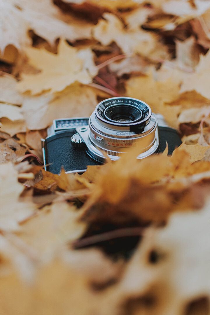 Jigsaw Puzzle Of Old Camera On Leaves Vintage Picture Jigsaw Puzzle