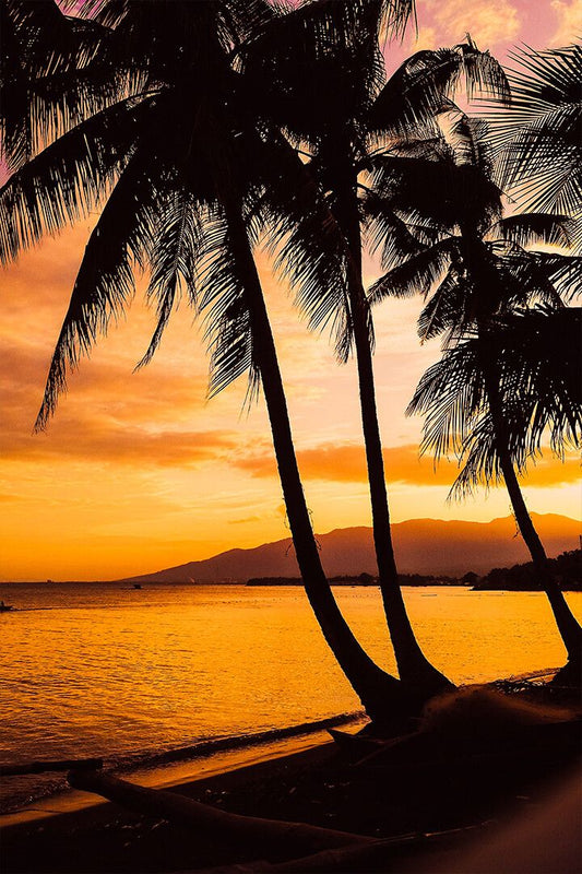 Picturesque Sunset Over Sea Palm Trees Beach Art Wall Decor Jigsaw Puzzle