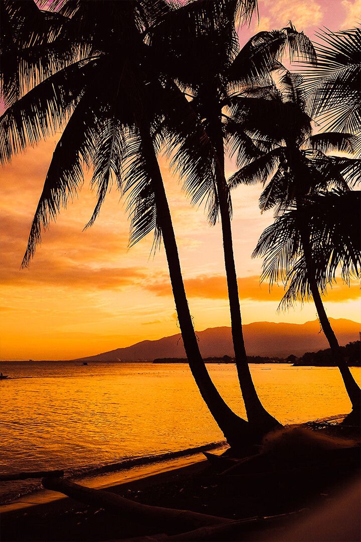 Picturesque Sunset Over Sea With Palms Art Wall Decor Jigsaw Puzzle