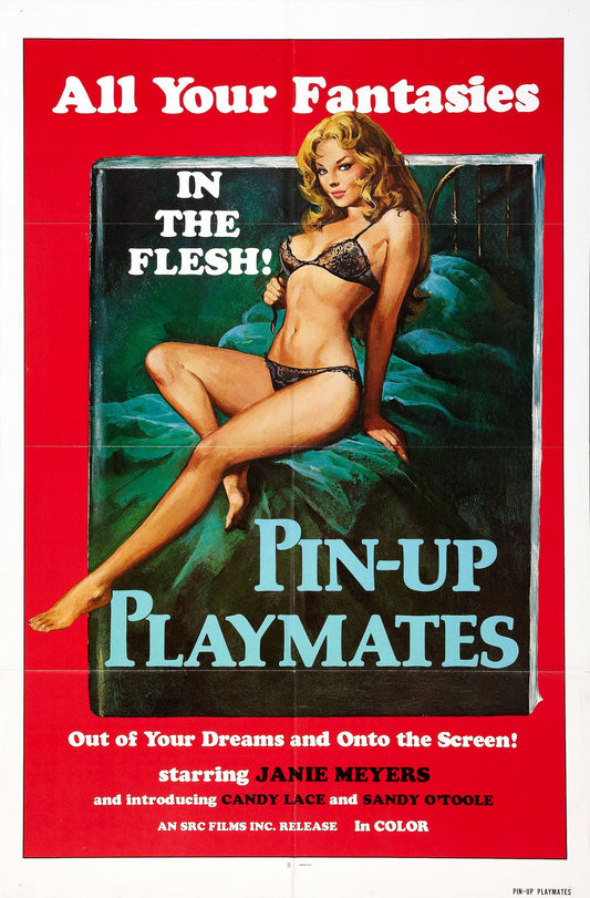 Pin Up Playmates 01 Movie Magnet