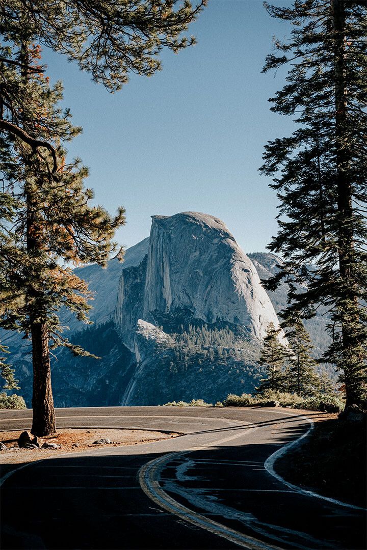 Pine Forest In Yosemite National Park Landscape Wall Home Decor Jigsaw Puzzle