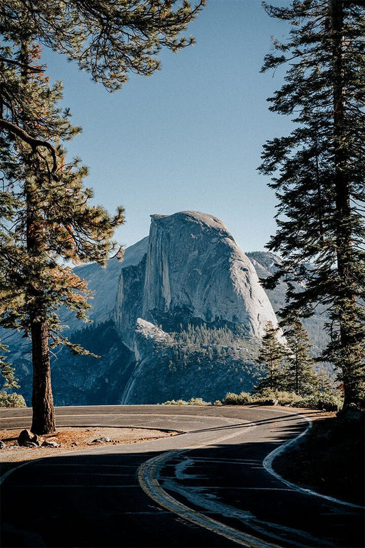 Pine Forest In Yosemite National Park Landscape Wall Home Decor Jigsaw Puzzle