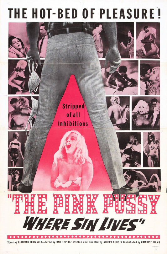 Pink Pussy 01 Movie Magnet