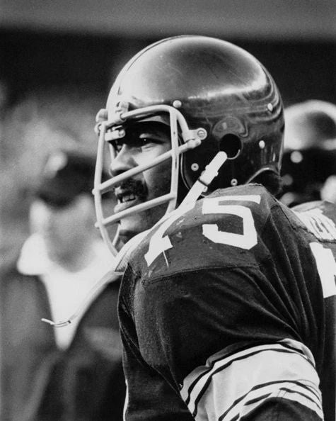 Pittsburgh Steelers Mean Joe Greene Glossy Photo Football Print Poster