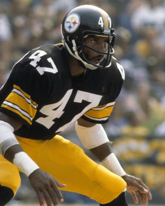 Pittsburgh Steelers Mel Blount Glossy Photo Nfl Football Print Poster